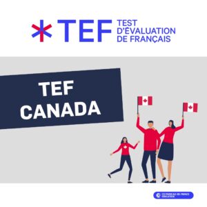 TEF Examination